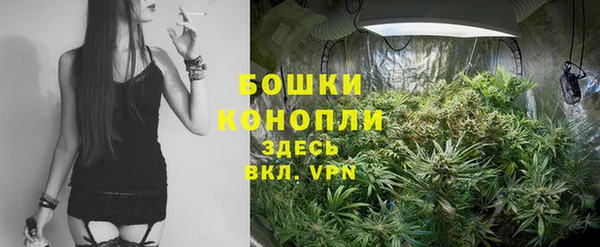ПСИЛОЦИБИНОВЫЕ ГРИБЫ Богородицк