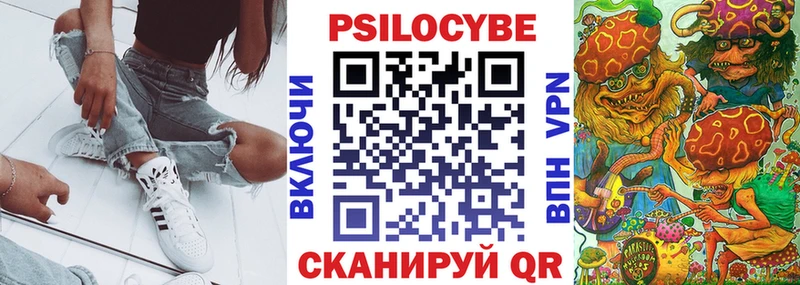 где купить наркоту Кохма Галлюциногенные грибы Psilocybe