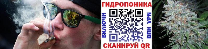 мориарти официальный сайт  купить закладку  Кохма  Бошки марихуана Ganja 